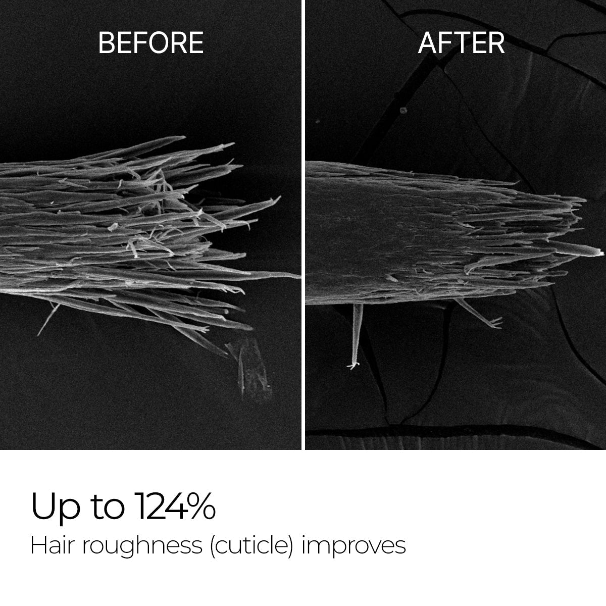Bondex Clinic Protein Treatment