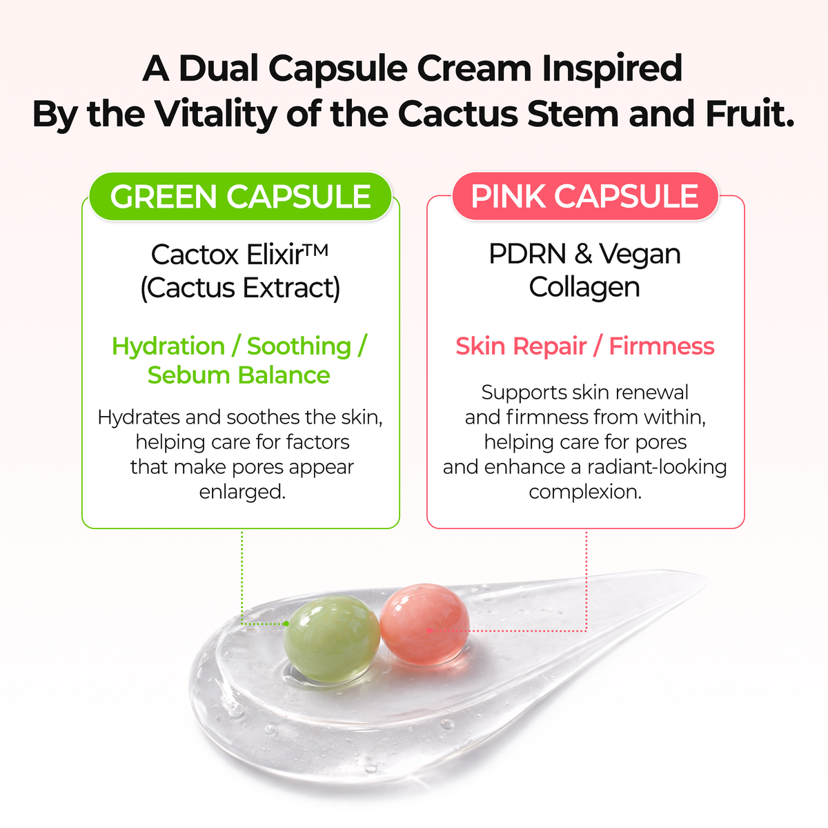 [CLEARANCE SALE] CACTOX Pore Dual Capsule Cream