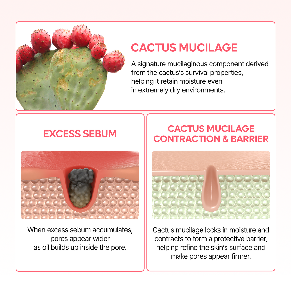 EDITOR'S PICK | 7-Step Korean Glass Skin Routine Set