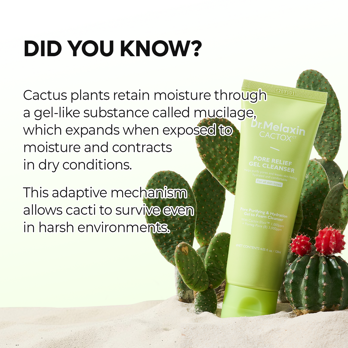 [CLEARANCE SALE] CACTOX Pore Relief Gel Cleanser