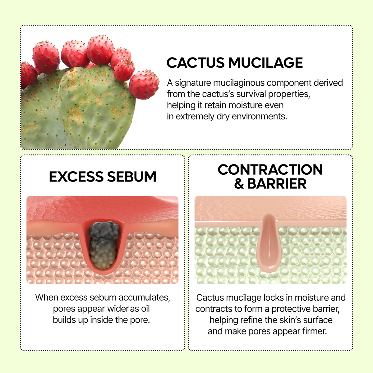 [CLEARANCE SALE] CACTOX Pore Relief Serum